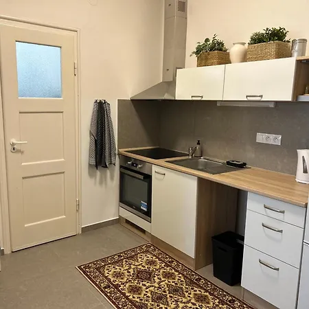 Appartamento 1kk V Centru Jihlavy